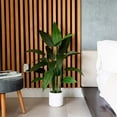 thumbnail image 1 of Nearly Natural Potted Sky Bird Artificial Tree - 3.5' - Green, 1 of 8