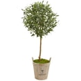thumbnail image 1 of Nearly Natural 46-In. Olive Artificial Tree in Farm House Planter, 1 of 2