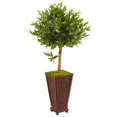 thumbnail image 1 of 46? Olive Topiary Artificial Tree in Decorative Planter, 1 of 1