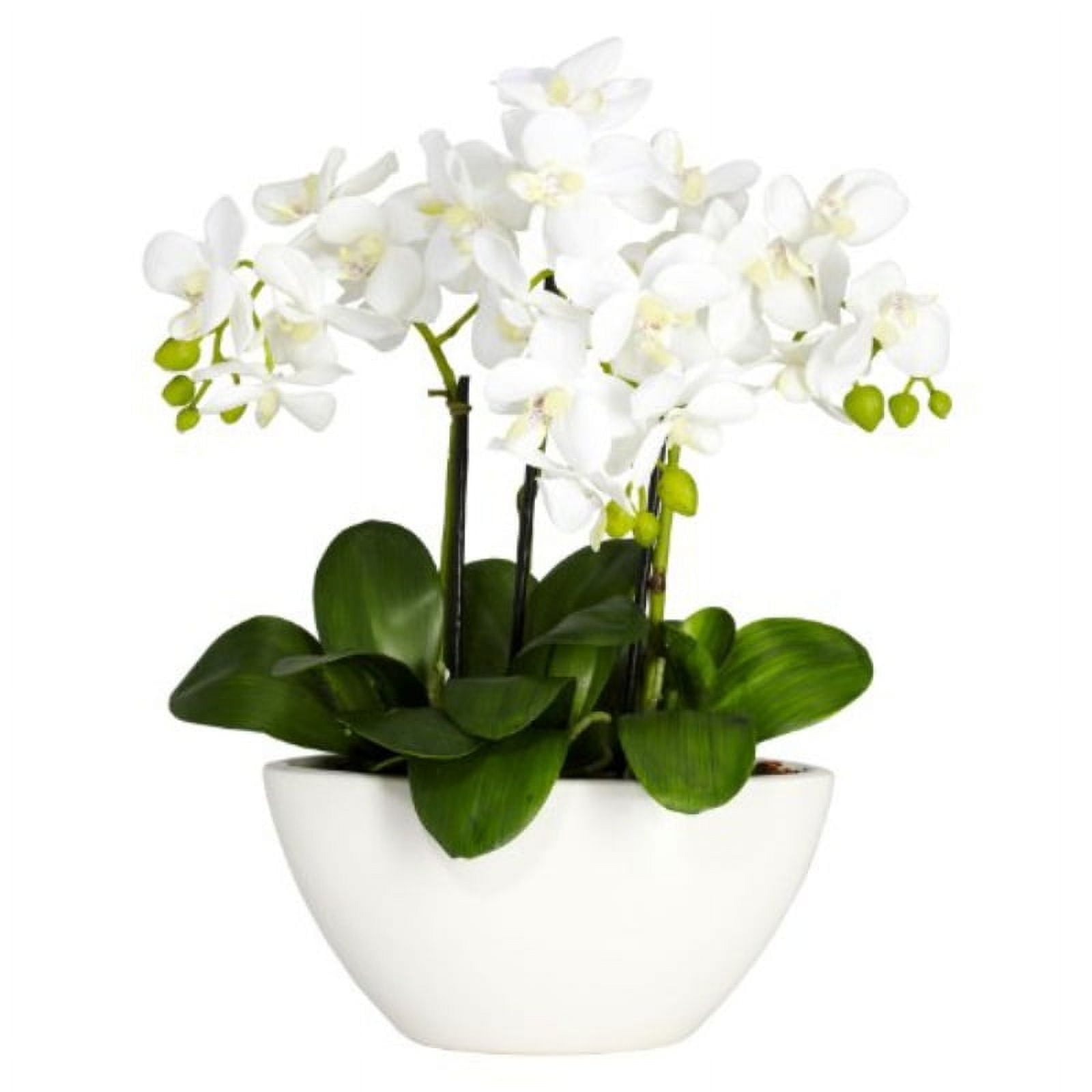 Triple Mini Phalaenopsis White Faux Orchid in Ceramic Planter