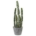 thumbnail image 1 of Nearly Natural 4845 Decorative Cactus Garden with Cement Planter Multi Color (4845), 1 of 4