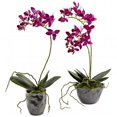 thumbnail image 1 of Nearly Natural 4993-S2 Mini Phal with Metallic Vase 13.5 x 6 inch Purple, 1 of 4