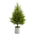 thumbnail image 1 of Nearly Natural 49in. Norfolk Island Pine  Look Artificial Tree, 1 of 5