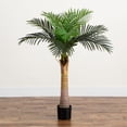 thumbnail image 1 of Nearly Natural Artificial Coconut Palm Potted Tree - 4', 1 of 8
