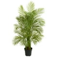 thumbnail image 1 of Nearly Natural 5.5' Areca Palm Artificial Tree, 1 of 4