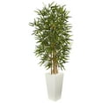 thumbnail image 1 of Nearly Natural 5.5' Bamboo Artificial Tree in Tower Planter, 1 of 3