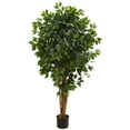 thumbnail image 1 of Nearly Natural 5.5' Ficus Artificial Tree, 1 of 7