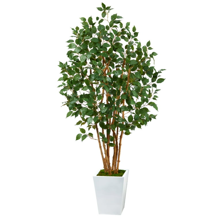 Nearly Natural 5.5' Elegant Ficus Artificial Tree in White Planter