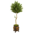 thumbnail image 1 of Nearly Natural 5.5-Ft. Olive Topiary Artificial Tree in Decorative Planter, 1 of 1