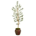 thumbnail image 1 of Nearly Natural 5.5' Olive Artificial Tree in Decorative Planter, 1 of 4
