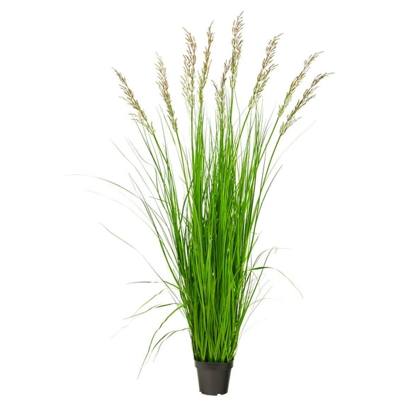 Nearly Natural 5.5' Plume Grass Artificial Plant, Green