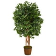 thumbnail image 1 of Nearly Natural 5.5' Super Deluxe Ficus Artificial Tree in Wicker Planter, 1 of 4
