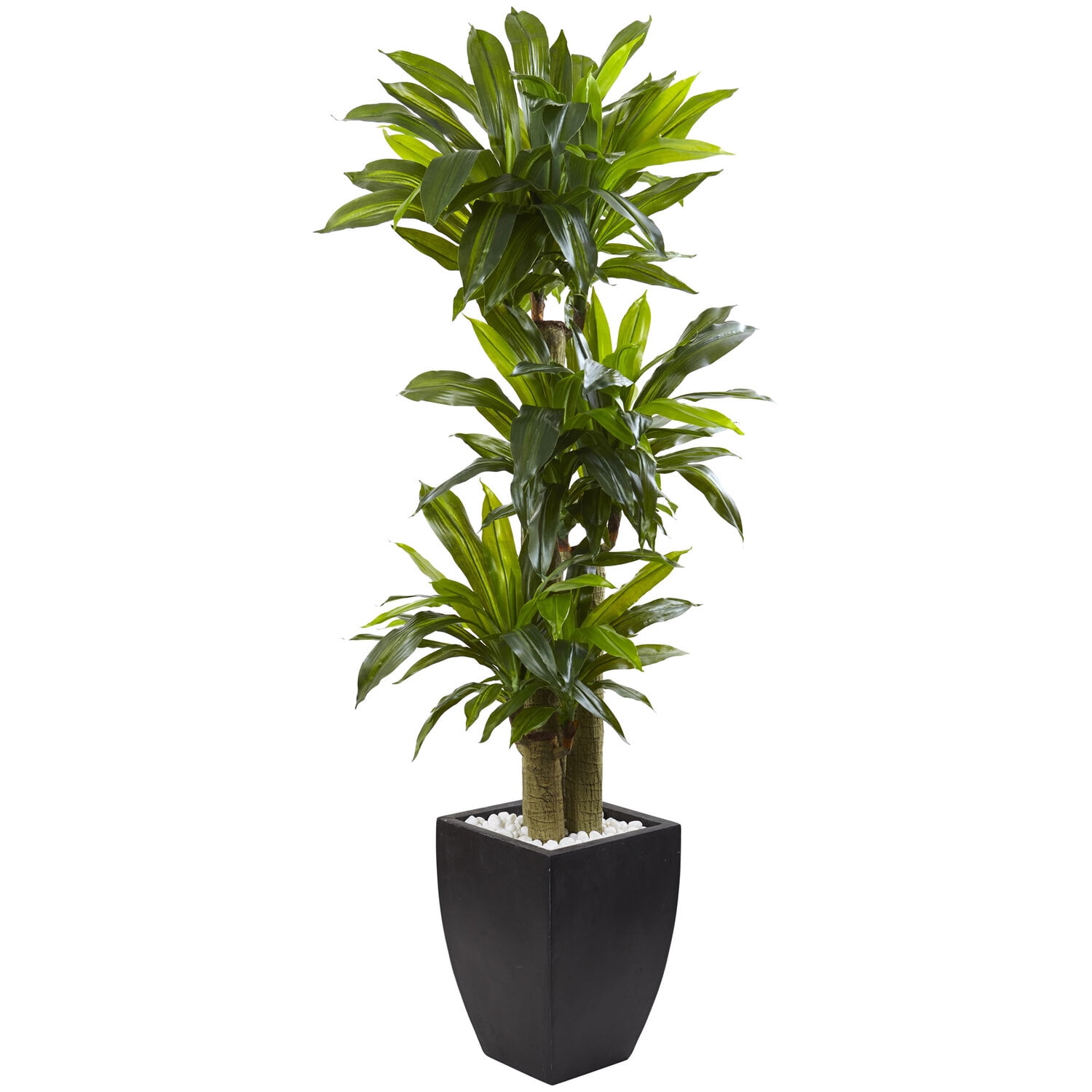 5.5ft Green Artificial Corn Stalk Dracaena with Black Planter