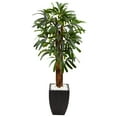 thumbnail image 1 of Nearly Natural 5.5 ft. Raphis Palm Artificial Tree in Black Planter, 1 of 5