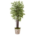thumbnail image 1 of Nearly Natural 5.5ft. Bamboo Artificial Tree in Farmhouse Planter, Green, 1 of 2