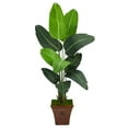 thumbnail image 1 of Nearly Natural 5.5ft. Travelers Palm Artificial Tree in Brown Planter, 1 of 4