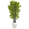 thumbnail image 1 of Nearly Natural 5’ Bamboo Artificial Tree with Black Trunks in White Planter UV Resistant (Indoor/Outdoor), 1 of 4