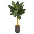 thumbnail image 1 of Nearly Natural 5’ Banana Artificial Tree in Ribbed Metal Planter, 1 of 1