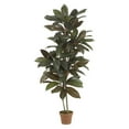 thumbnail image 1 of Nearly Natural 5' Cordyline Artificial Plant (Real Touch), Green, 1 of 3