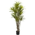 thumbnail image 1 of Nearly Natural 5' Dracaena Artificial Tree, 1 of 4