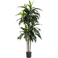 thumbnail image 1 of Nearly Natural 5' Dracaena Plastic Artificial Plant UV Resistant (Indoor/Outdoor), Green, 1 of 3