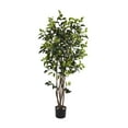 thumbnail image 1 of 5' Ficus Bushy Silk Tree, 1 of 4