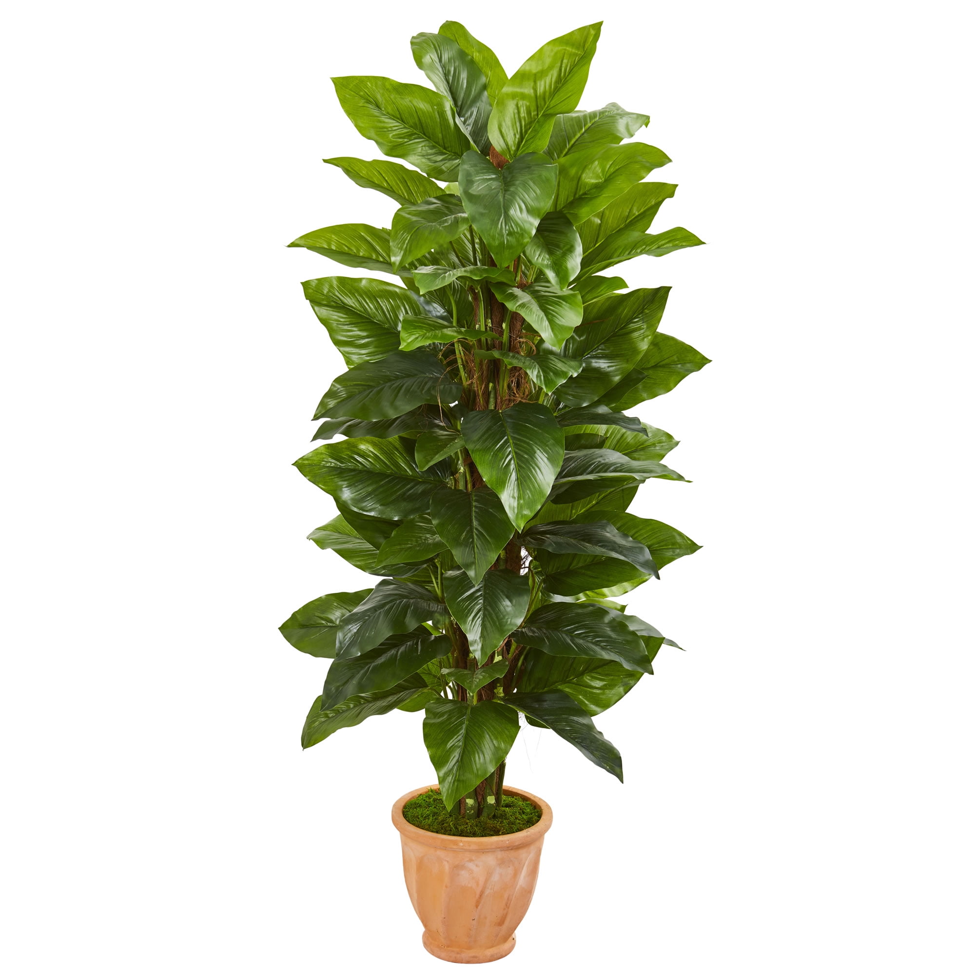 Nearly Natural 5-Ft. Large Leaf Philodendron Artificial Plant in Terra ...