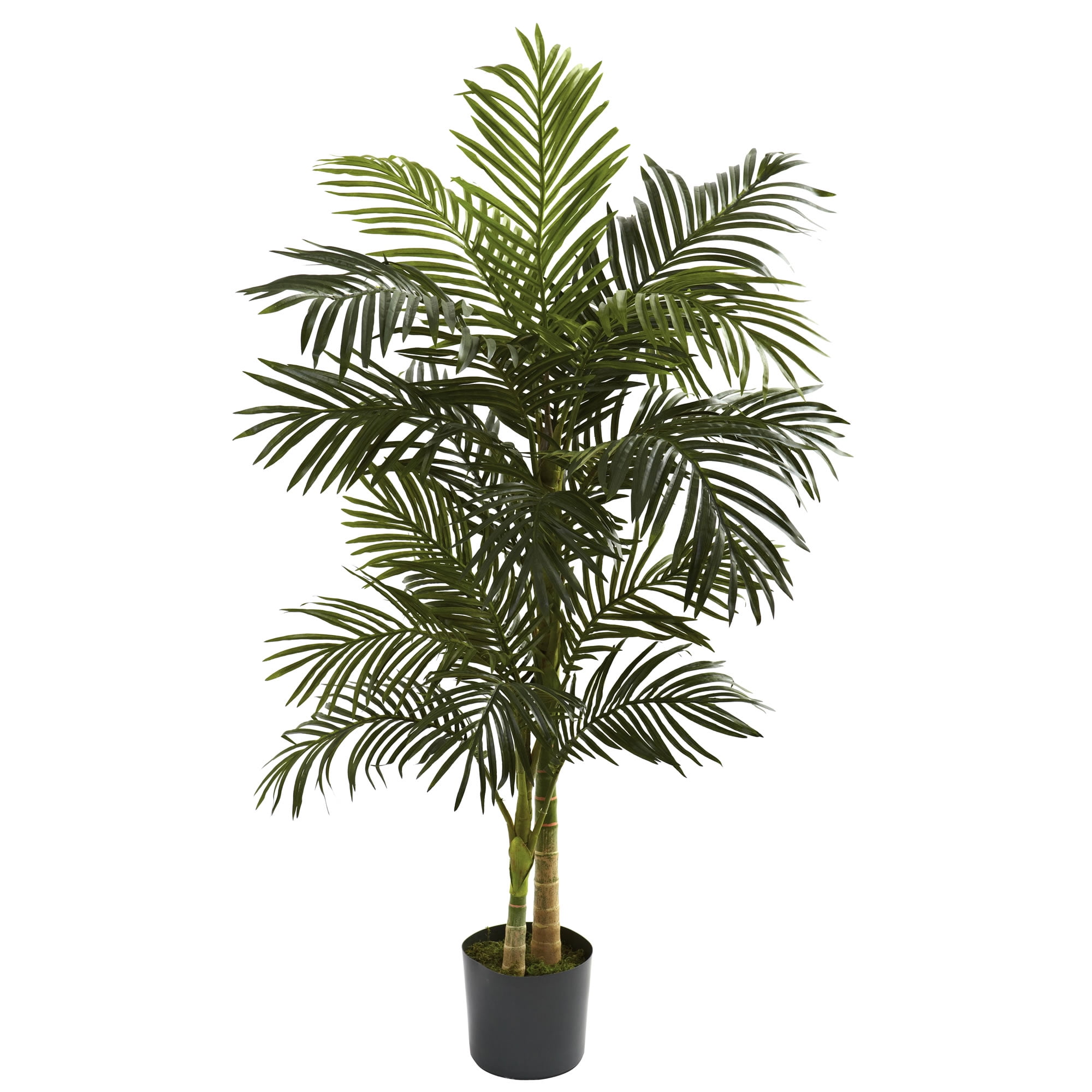 5-ft Green Silk Palm Tree in Black Plastic Pot