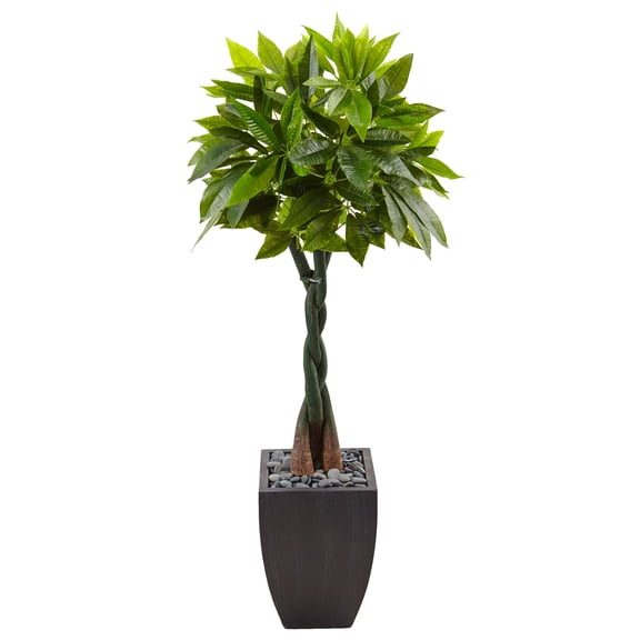 Nearly Natural 5 Money Artificial Tree in Black Square Planter