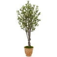 thumbnail image 1 of Nearly Natural 5’ Olive Artificial Tree in Terracotta Planter, 1 of 2