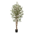 thumbnail image 1 of Nearly Natural 5' Olive Artificial Tree with 1656 Leaves, 1 of 4