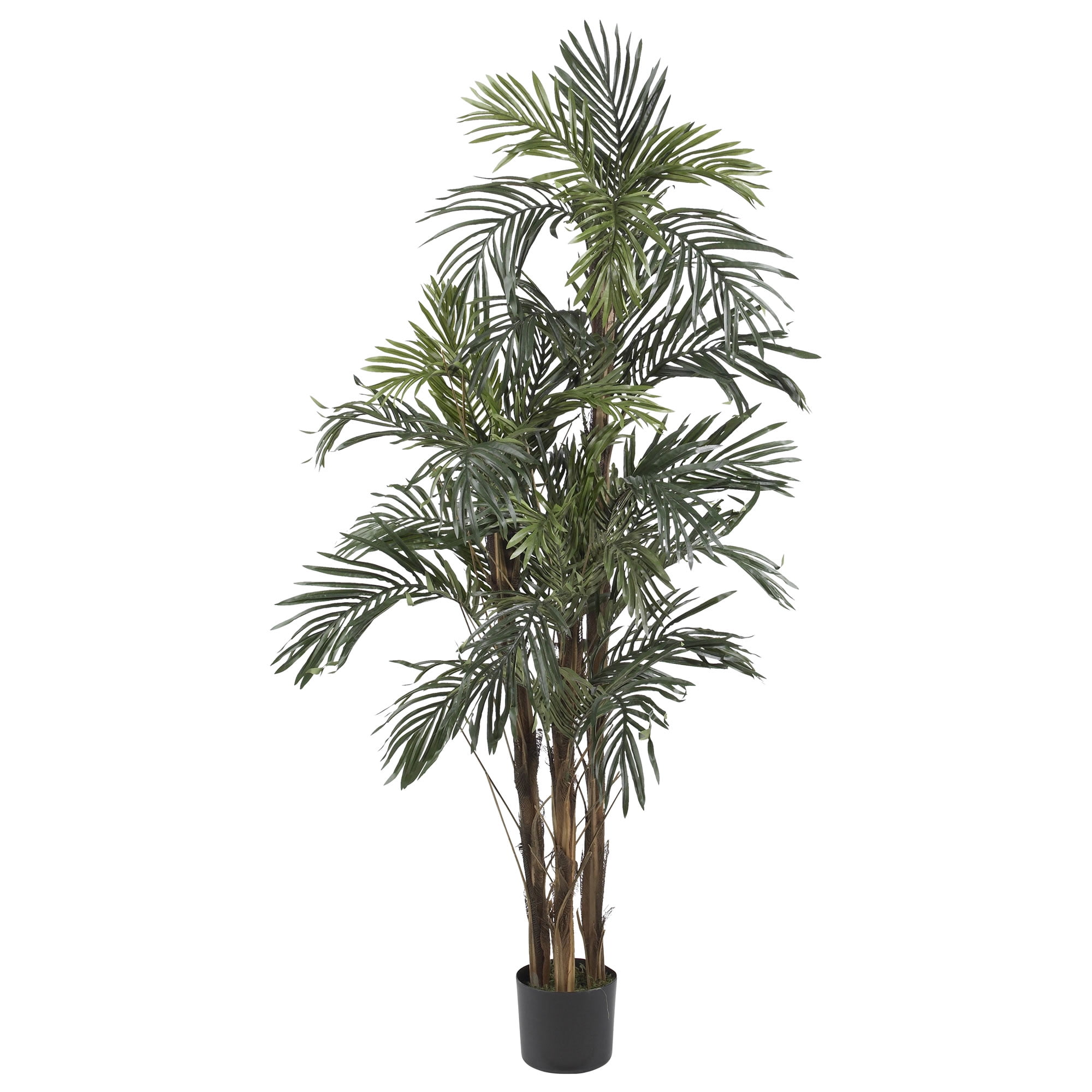 63" Green Silk Robellini Palm Tree in Black Pot