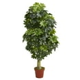 thumbnail image 1 of Nearly Natural 5' Schefflera Artificial Tree (Real Touch), 1 of 3