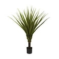 thumbnail image 1 of Nearly Natural 5' Spiked Agave Tree, 1 of 3