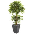 thumbnail image 1 of Nearly Natural 5' Variegated Ficus Artificial Tree in Slate Planter, Green, 1 of 3