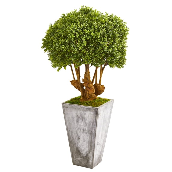Nearly Natural 51” Boxwood Artificial Topiary Tree in Cement Planter