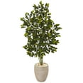 thumbnail image 1 of Nearly Natural 53" Ficus Artificial Tree in Sand Planter, 1 of 3