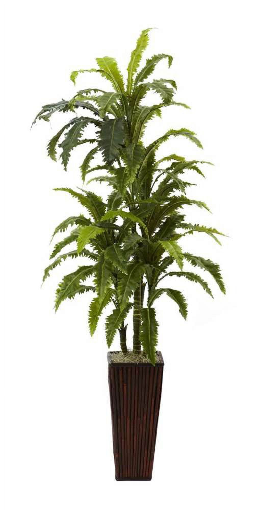 55'' Green Marginata Plant with Tall Bamboo Planter