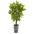 thumbnail image 1 of Nearly Natural 55in. River Birch Artificial Tree in Decorative Planter, 1 of 1