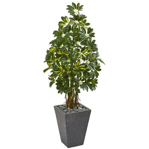 Nearly Natural 57-In. Schefflera Artificial Tree in Slate Planter