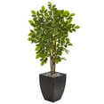 thumbnail image 1 of Nearly Natural 57" River Birch Artificial Tree in Black Planter, 1 of 3