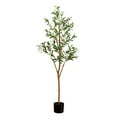 thumbnail image 1 of Nearly Natural 5ft. Artificial Olive Tree with Natural Trunk, 1 of 7