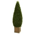 thumbnail image 1 of Nearly Natural 5ft. Boxwood Cone Topiary Artificial Tree with Decorative Planter, 1 of 3