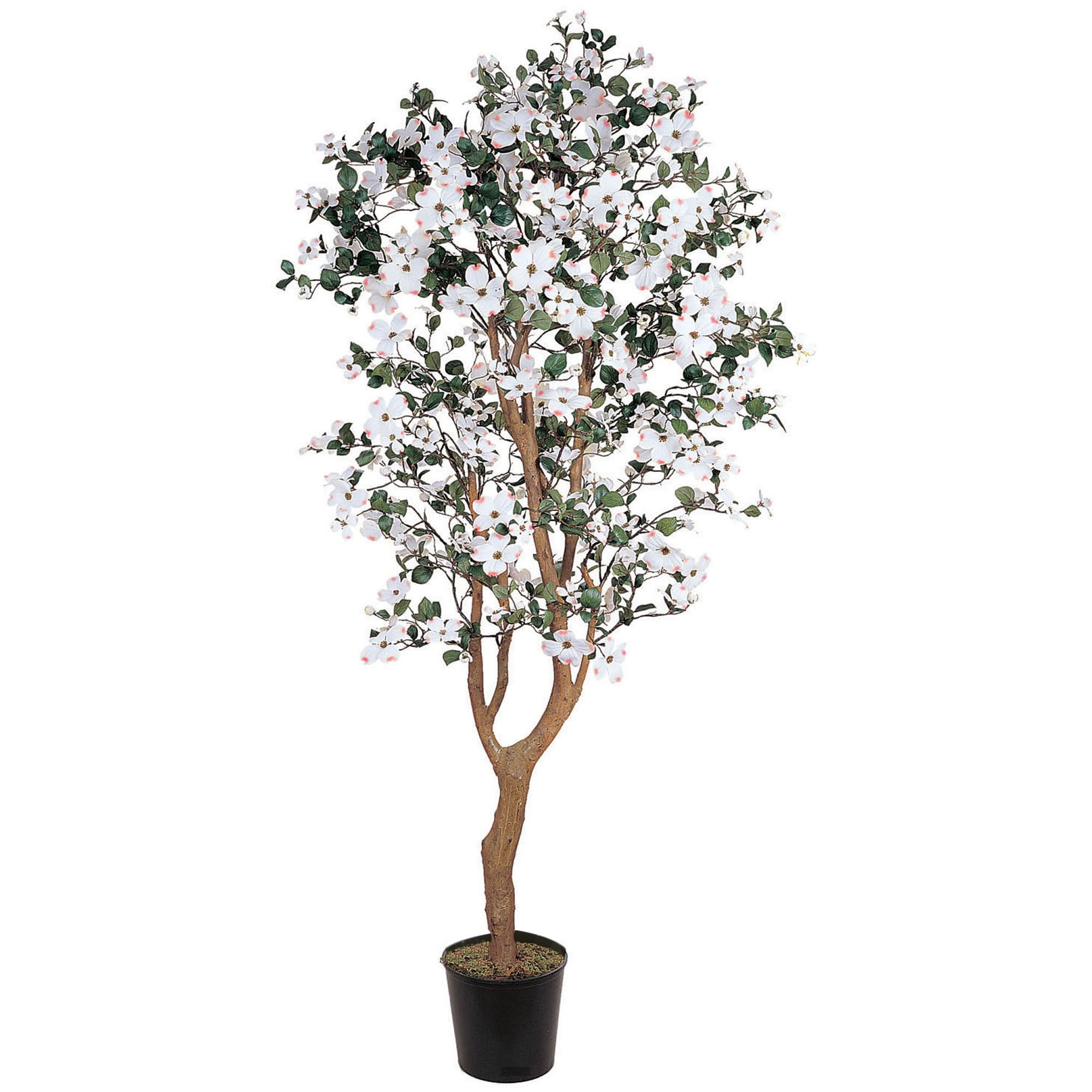 5ft White Silk Dogwood Floor Plant in Black Pot