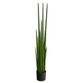 thumbnail image 1 of Nearly Natural 5ft. Sansevieria Snake Artificial Plant, 1 of 4