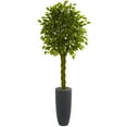 thumbnail image 1 of Nearly Natural 6.5’ Braided Ficus Artificial Tree in Planter UV Resistant, 1 of 3