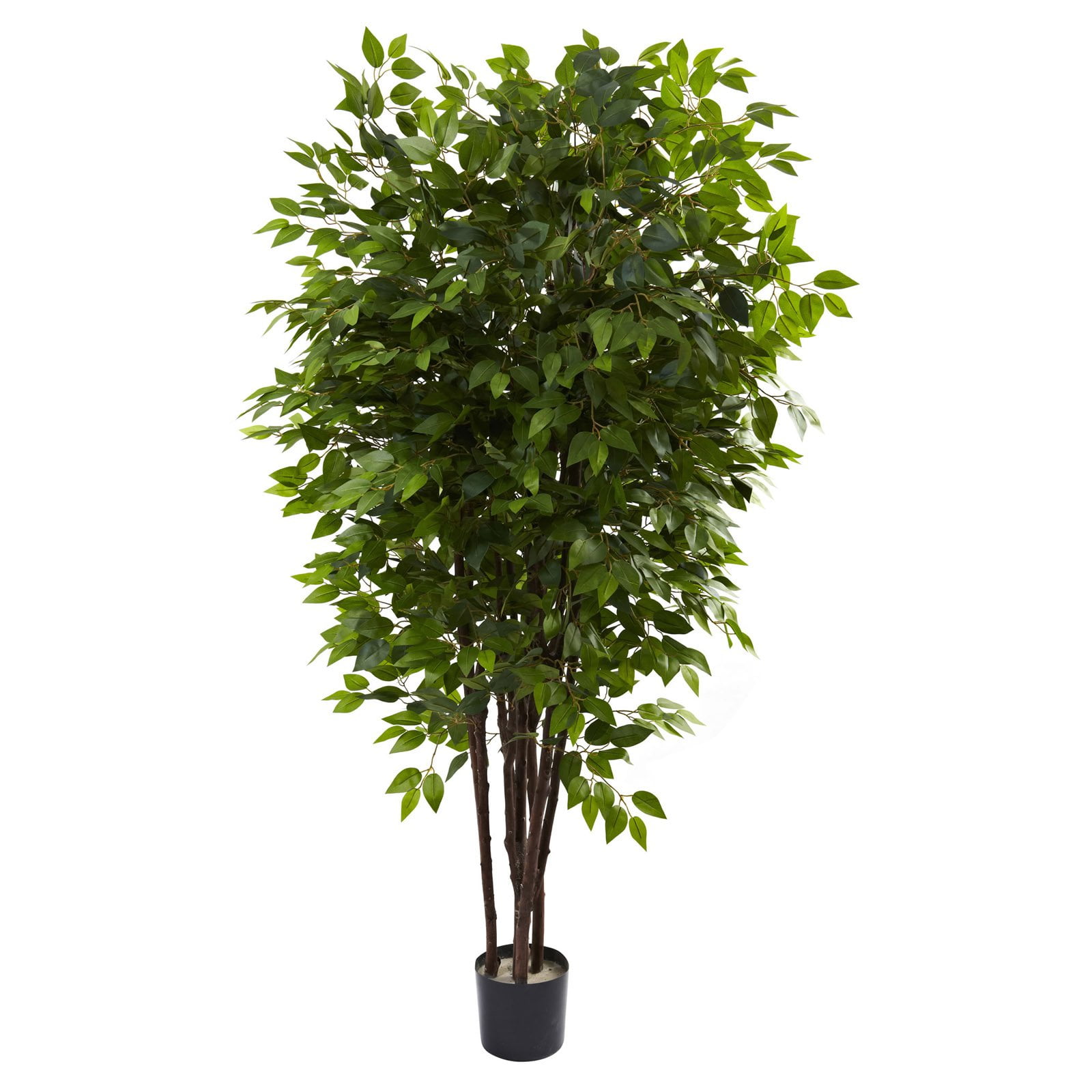 6.5' Green Silk Ficus Tree in Black Pot