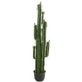 thumbnail image 1 of Nearly Natural 6.5' Plastic Cactus Artificial Plant, Green, 1 of 2