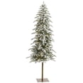 thumbnail image 1 of Nearly Natural 6.5ft. Flocked Washington Alpine Christmas Artificial Tree, 1 of 3