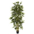 thumbnail image 1 of Nearly Natural 6' Bamboo Artificial Tree, 1 of 6